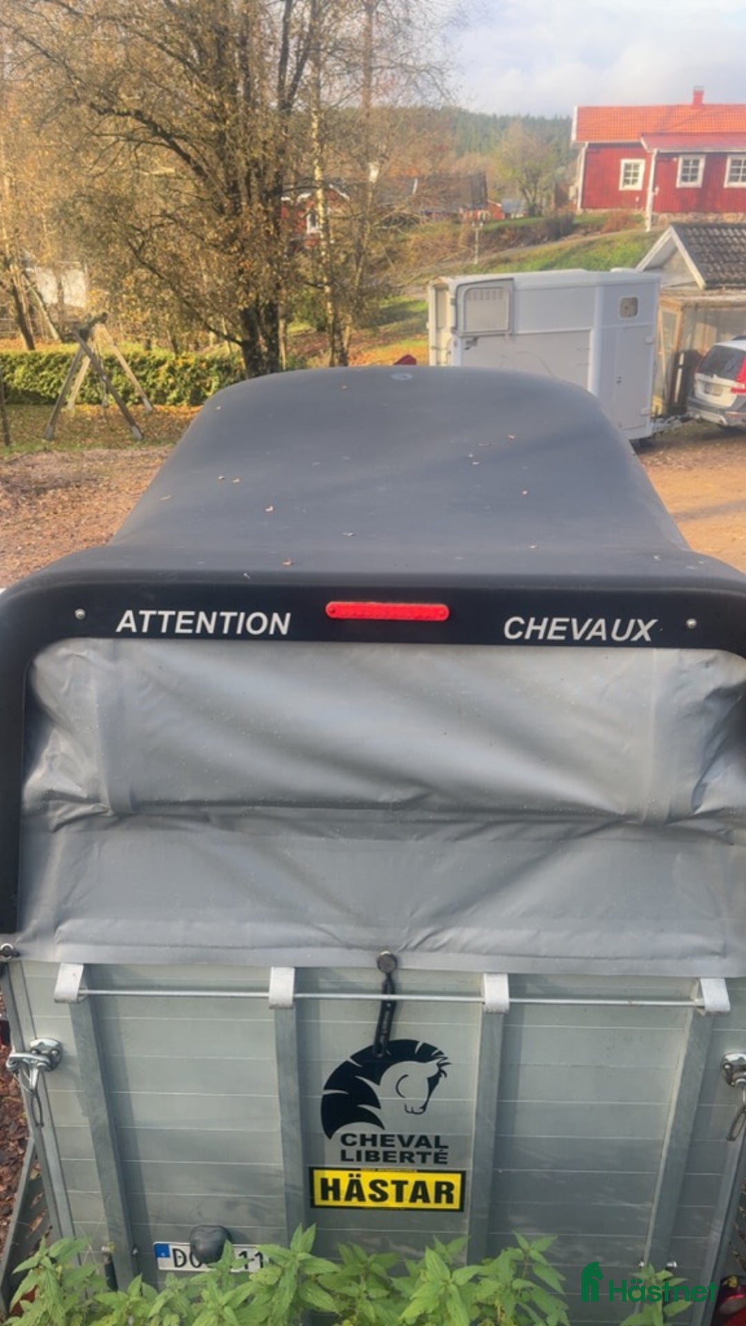 Hästtransporter  fordon & transport till salu: Hästransport i Kinnarumma - Annons 7