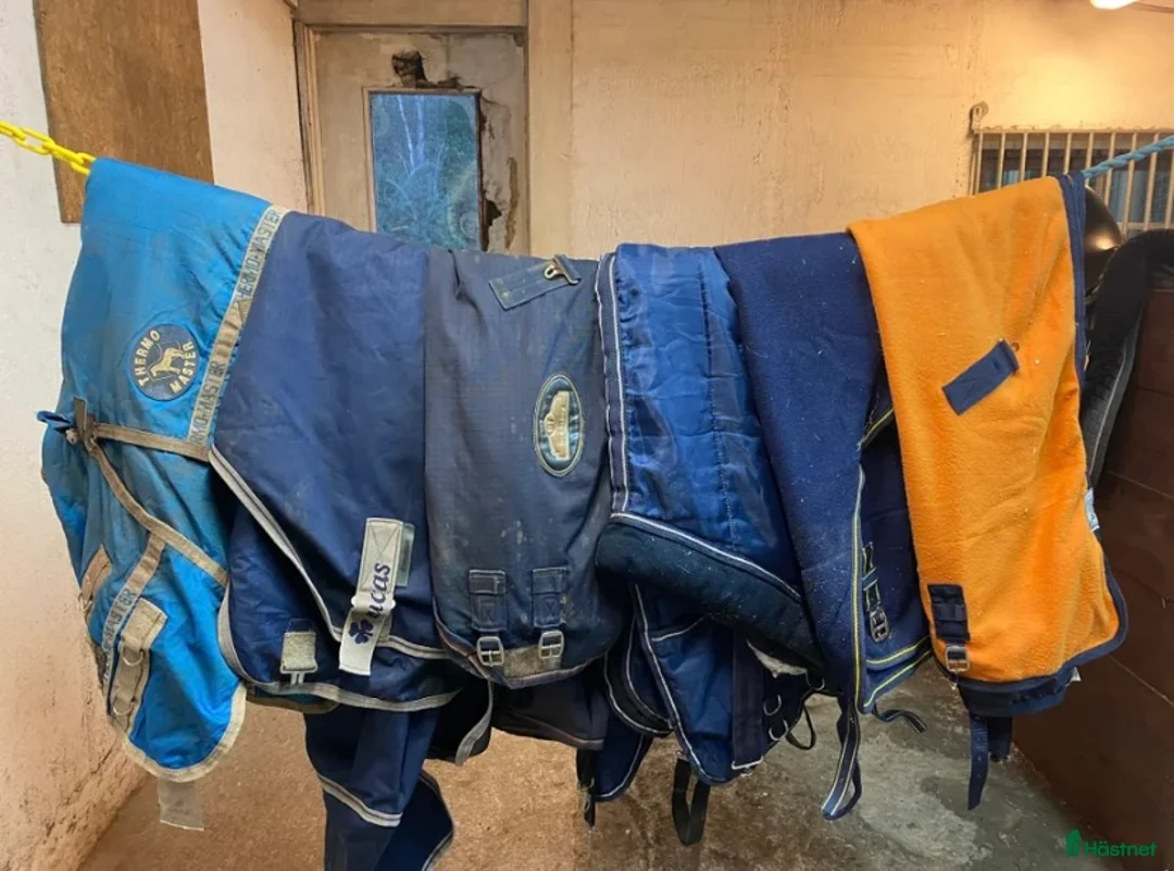 Täcken hästutrustning till salu: 6 st täcken för priset av 5st.  - Annons 1