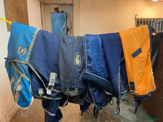 Täcken hästutrustning 6 st täcken för priset av 5st. - Annons 2