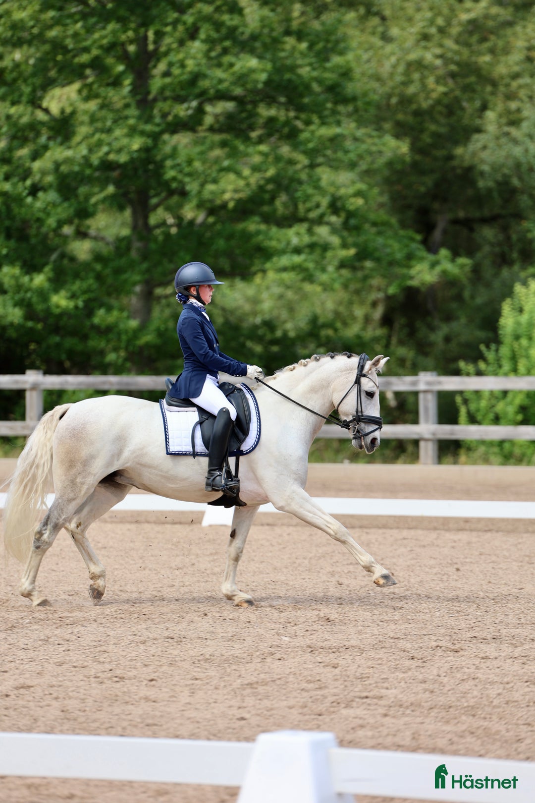 Dressyr hästar till salu: Läromästare och bästa vän! i Linköping - Annons 2