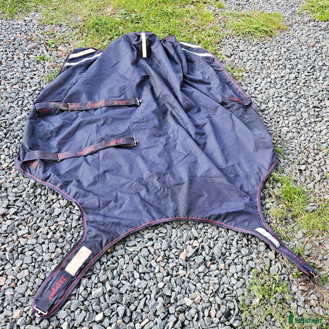 Täcken hästutrustning till salu: Skrittmaskinstäcke/walkertäcke i Österbybruk - Annons 2