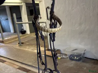 Träns hästutrustning Klinker träns - Annons 18