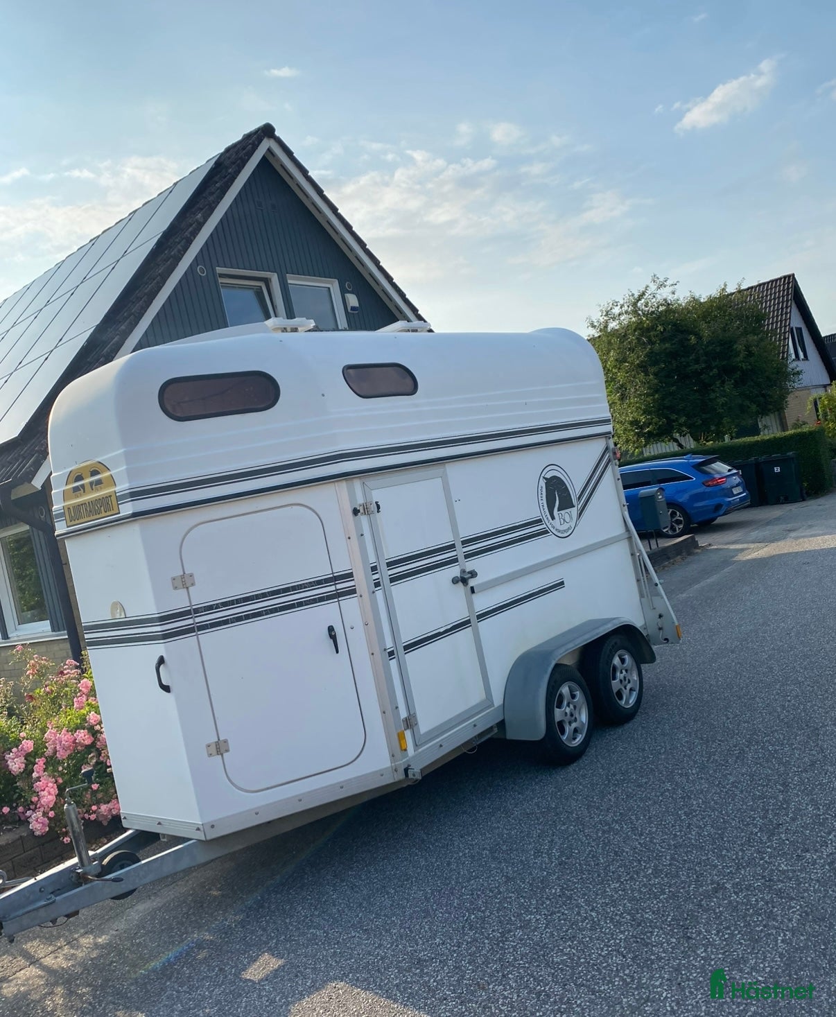 Hästtransporter  fordon & transport till salu: BOJ Bravo SEH  - Annons 14