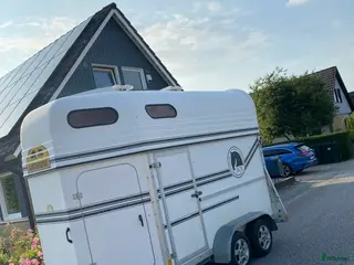 Hästtransporter fordon & transport till salu: BOJ Bravo SEH - Annons 14