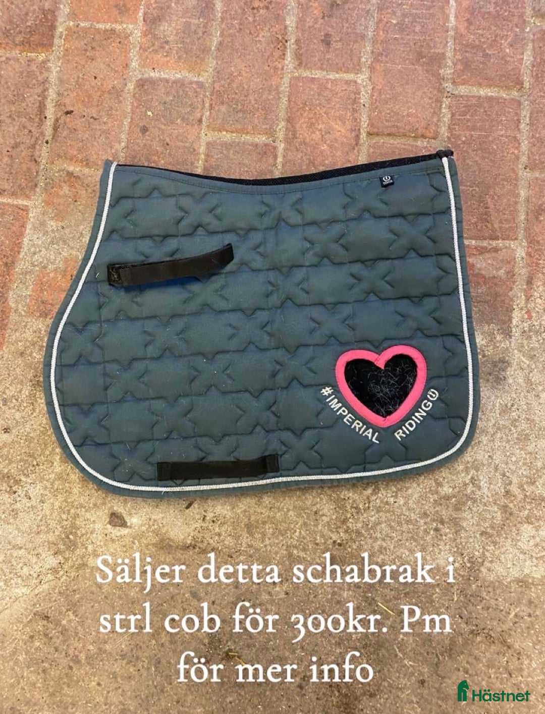 Schabrak & Vojlockar hästutrustning till salu: Gulligt schabrak och lite mer! i Linköping - Annons 1