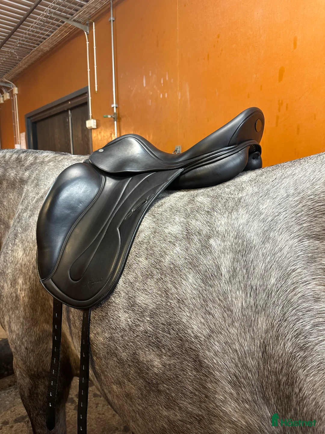 Sadlar hästutrustning till salu: Equipe Oracle i Nyskick i Norra Sorunda - Annons 2