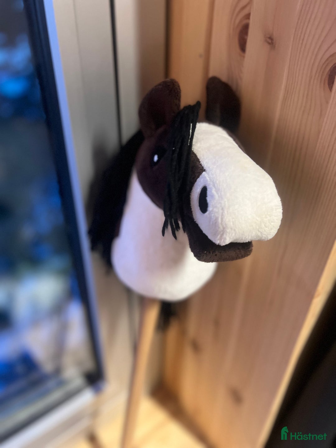 Övrig utrustning övrig utrustning till salu: Hööks käpphäst till salu med tillbehör💙 i Kiruna - Annons 6