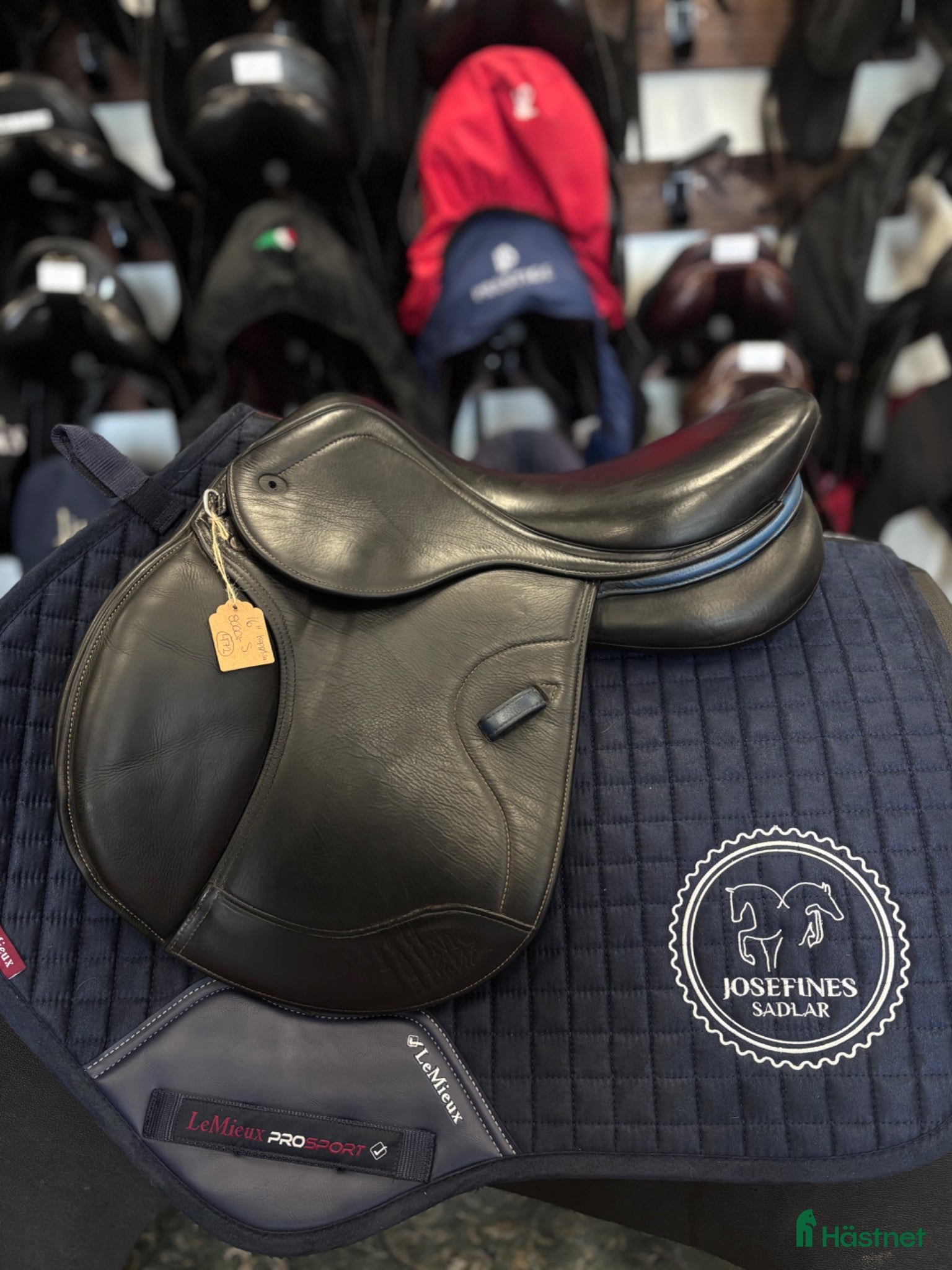Sadlar hästutrustning Ikonic - Annons 18