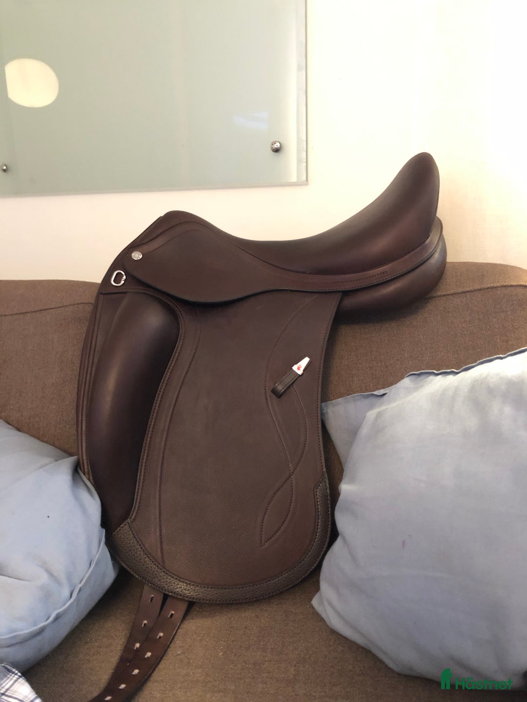 Sadlar hästutrustning till salu: Equipe Olympia - nyskick i Norrtälje - Annons 9