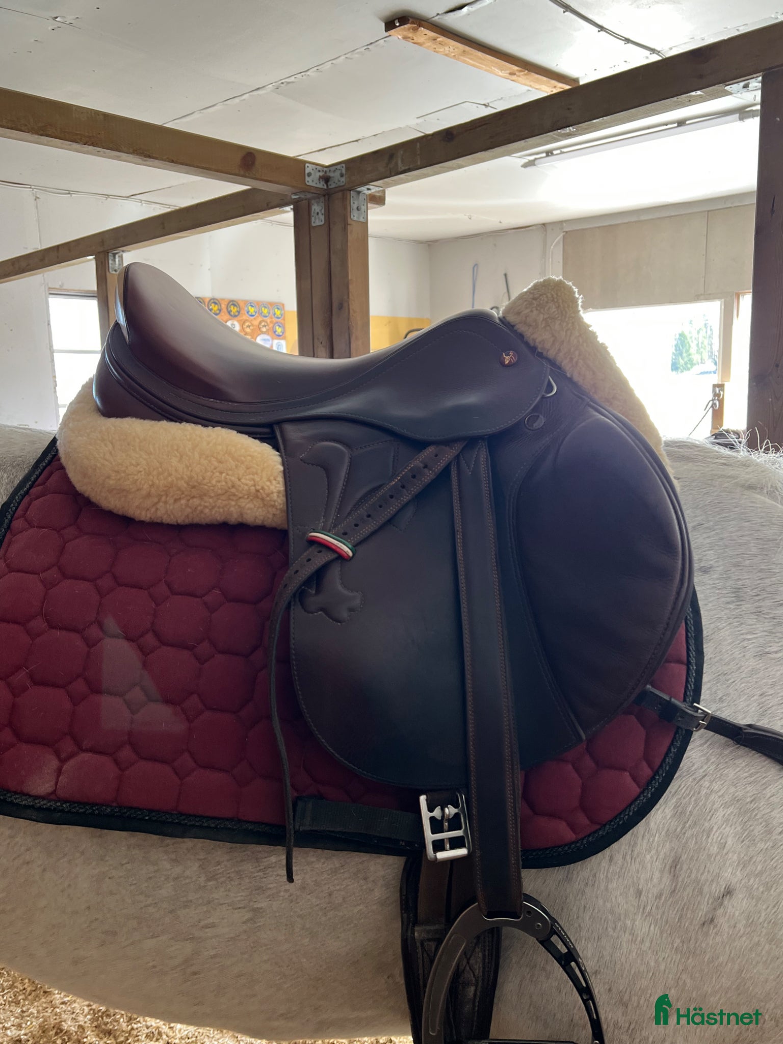 Sadlar hästutrustning Prestige arezzo - Annons 3