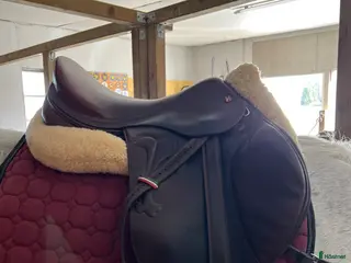 Sadlar hästutrustning Prestige arezzo - Annons 3