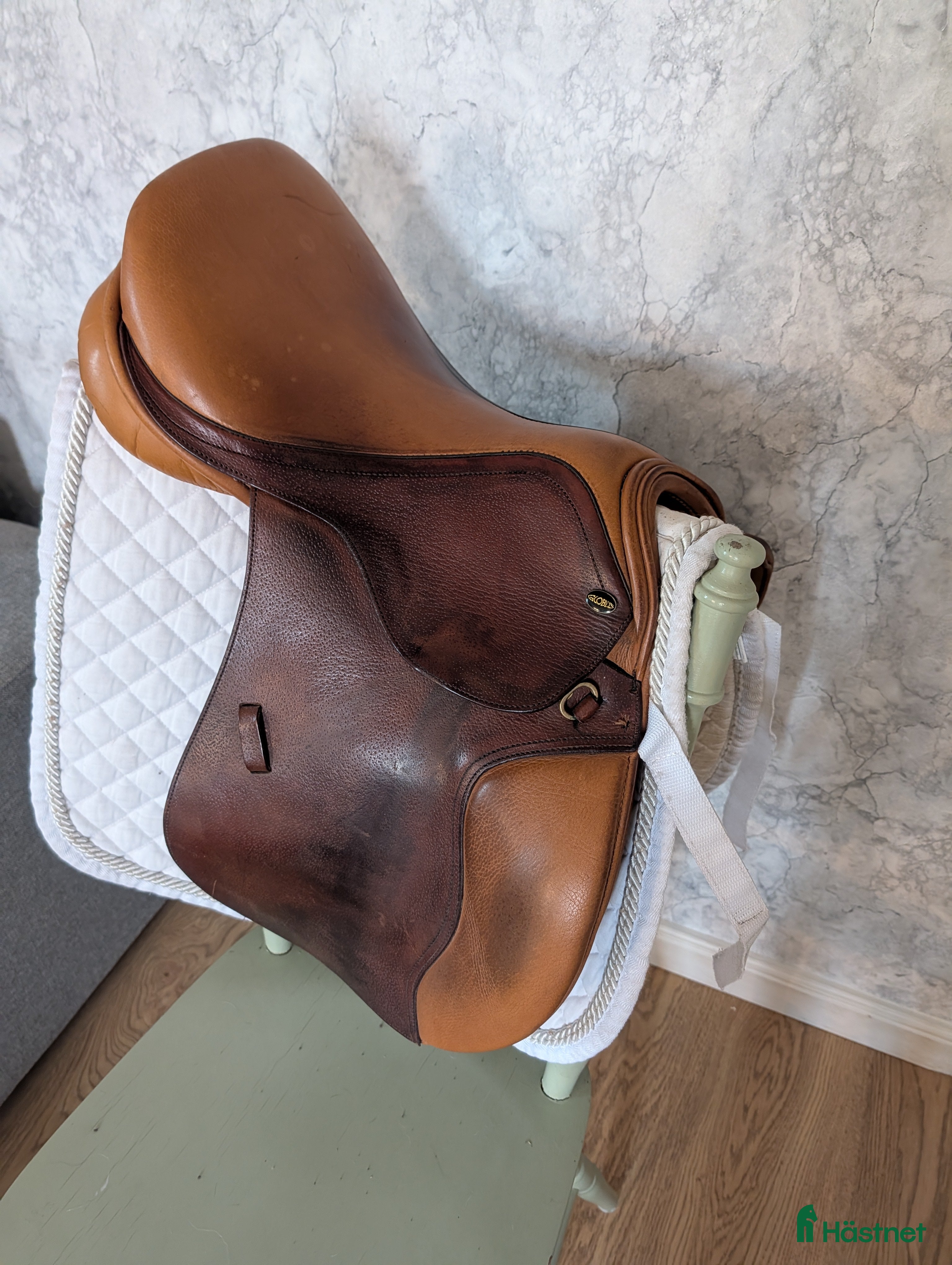 Sadlar hästutrustning Globus ezperansa 15,5" hoppsadel - Annons 16