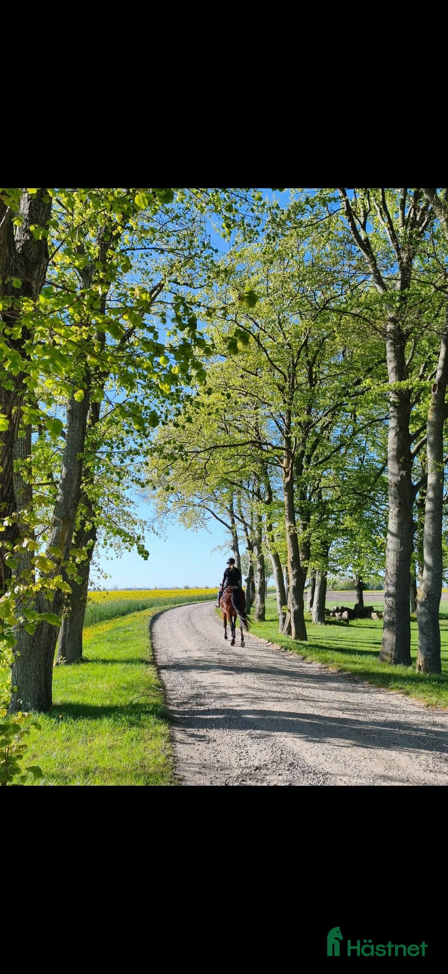  stallplats Stallplats mellan Lund och Lomma - Annons 8