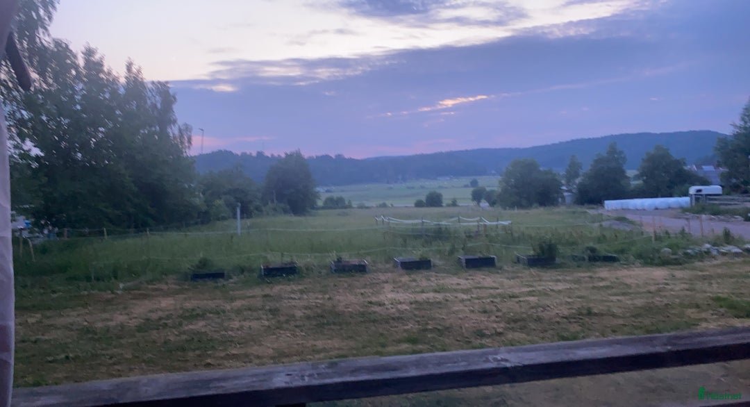  stallplats finnes: Stallplatser för valack i Lindome  i Lindome - Annons 1