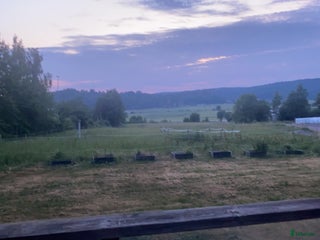 stallplats finnes: Stallplatser för valack i Lindome i Lindome - Annons 1