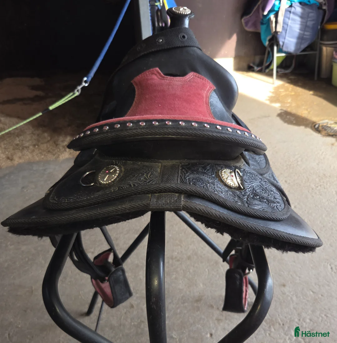 Sadlar hästutrustning till salu: PONNYWESTERNSADEL - Annons 2