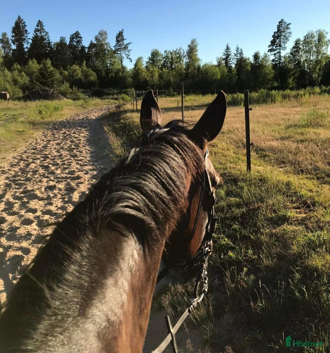  stallplats finnes: Uteboxar i forshaga i Forshaga - Annons 6