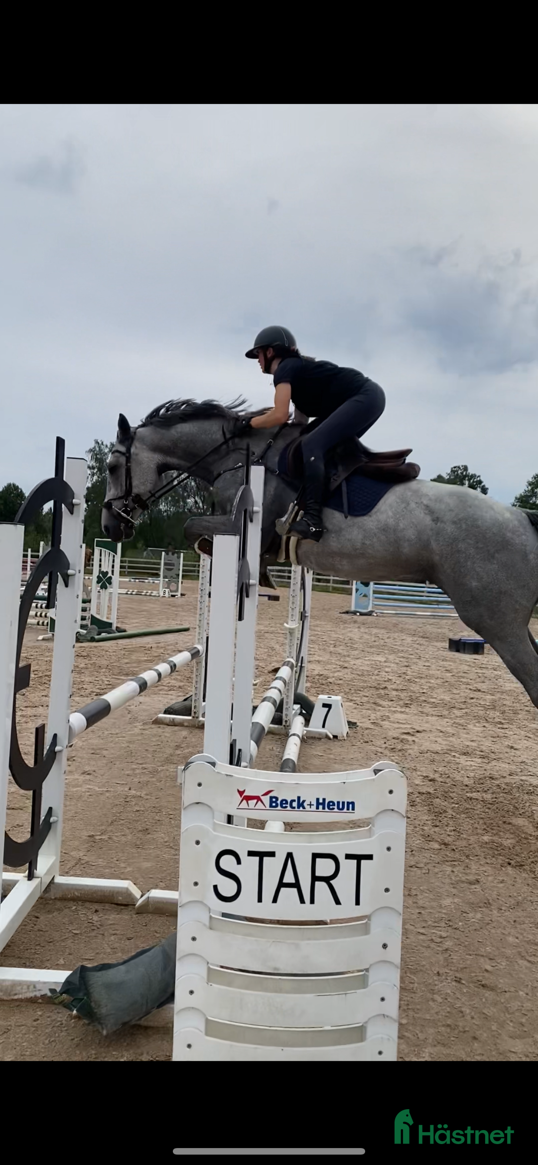  hästjobb finnes: Tillridning/försäljning av ponny/häst  i Falköping - Annons 2