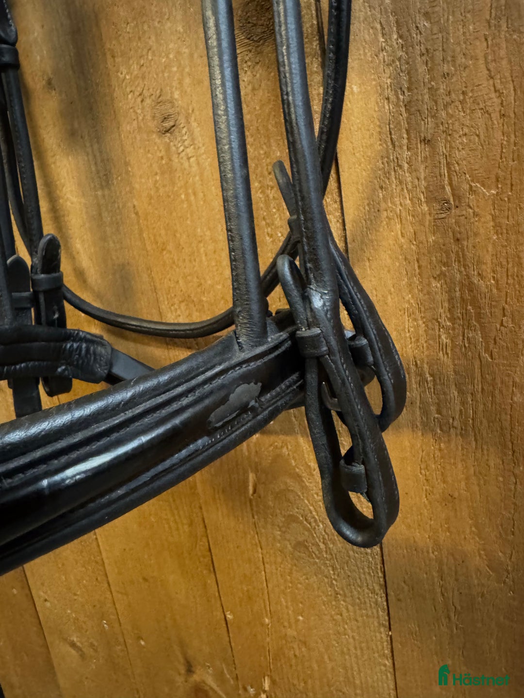 Träns hästutrustning till salu: Rundsytt kandar med lackad nosgrimma  i Hofors - Annons 6