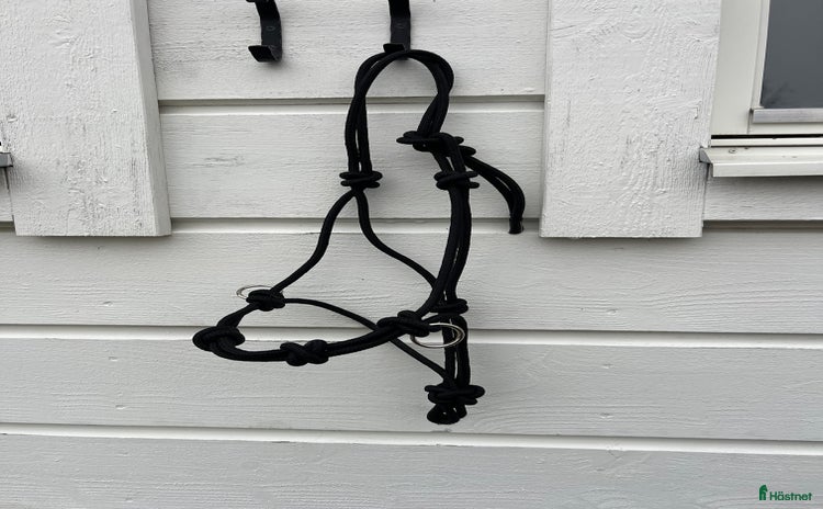 Övrig Hästutrustning hästutrustning till salu i Upplands Väsby - Annons 11