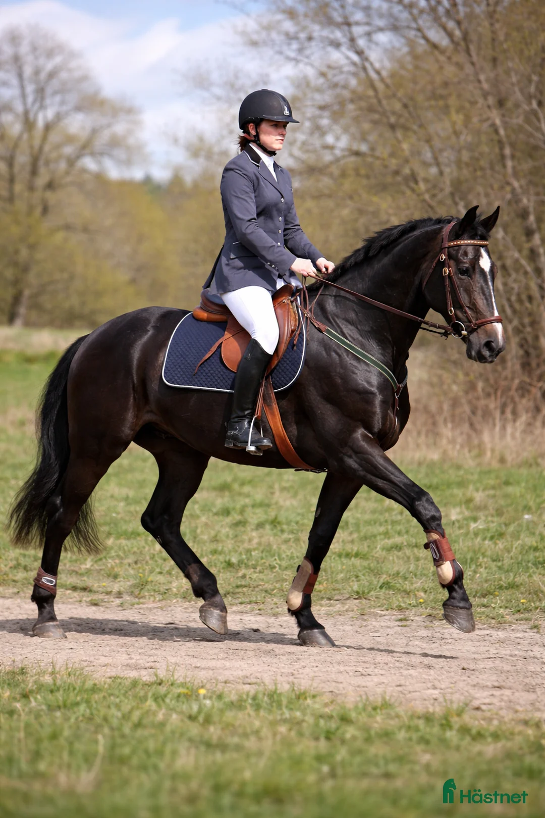 Galleribild {{count}}