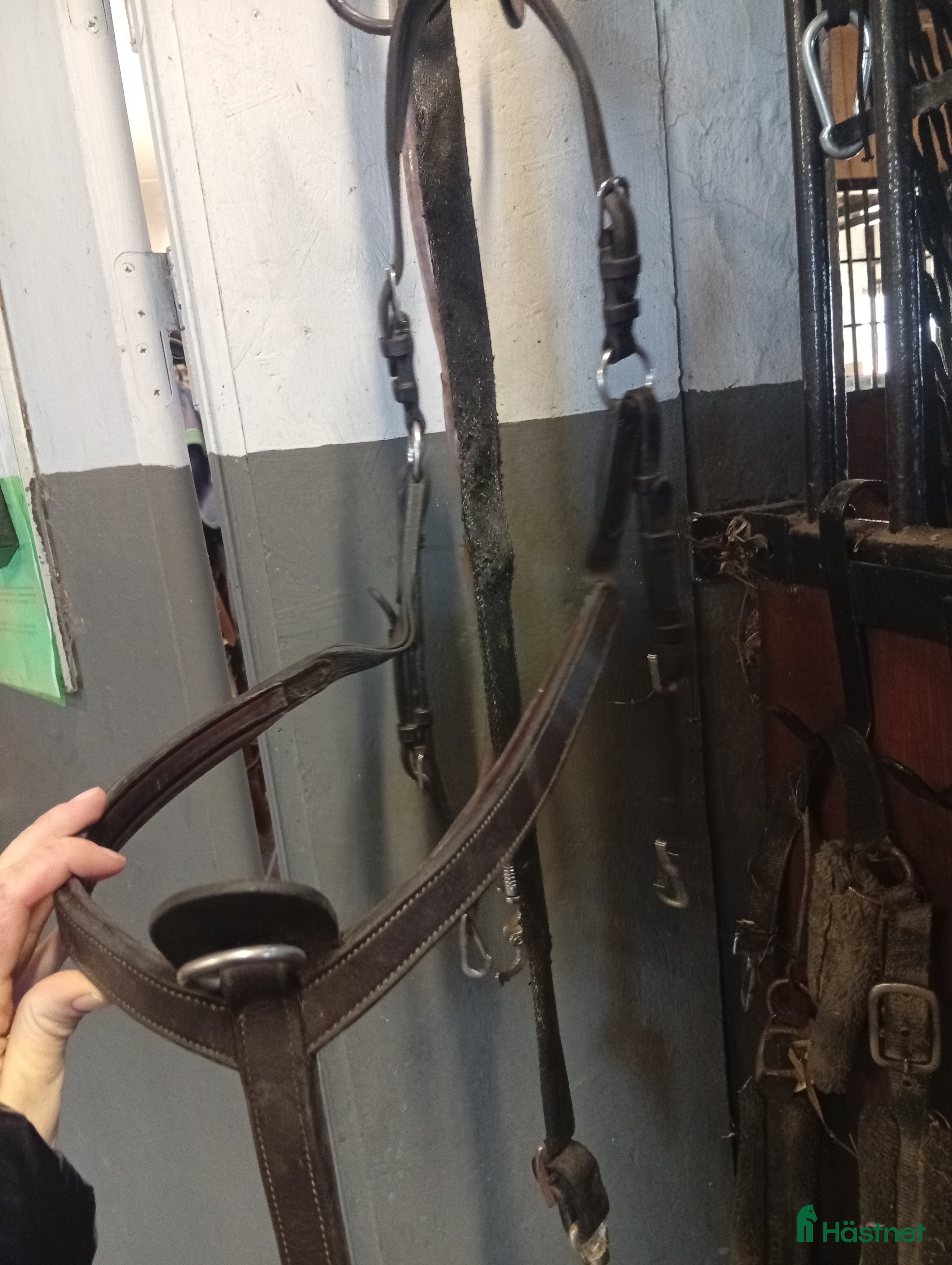 Övrig Hästutrustning hästutrustning till salu: Dyon förbygel i Heberg - Annons 13