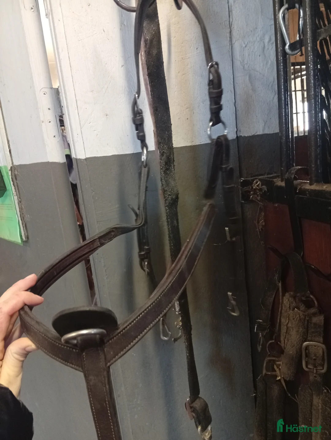 Övrig Hästutrustning hästutrustning till salu: Dyon förbygel i Heberg - Annons 1