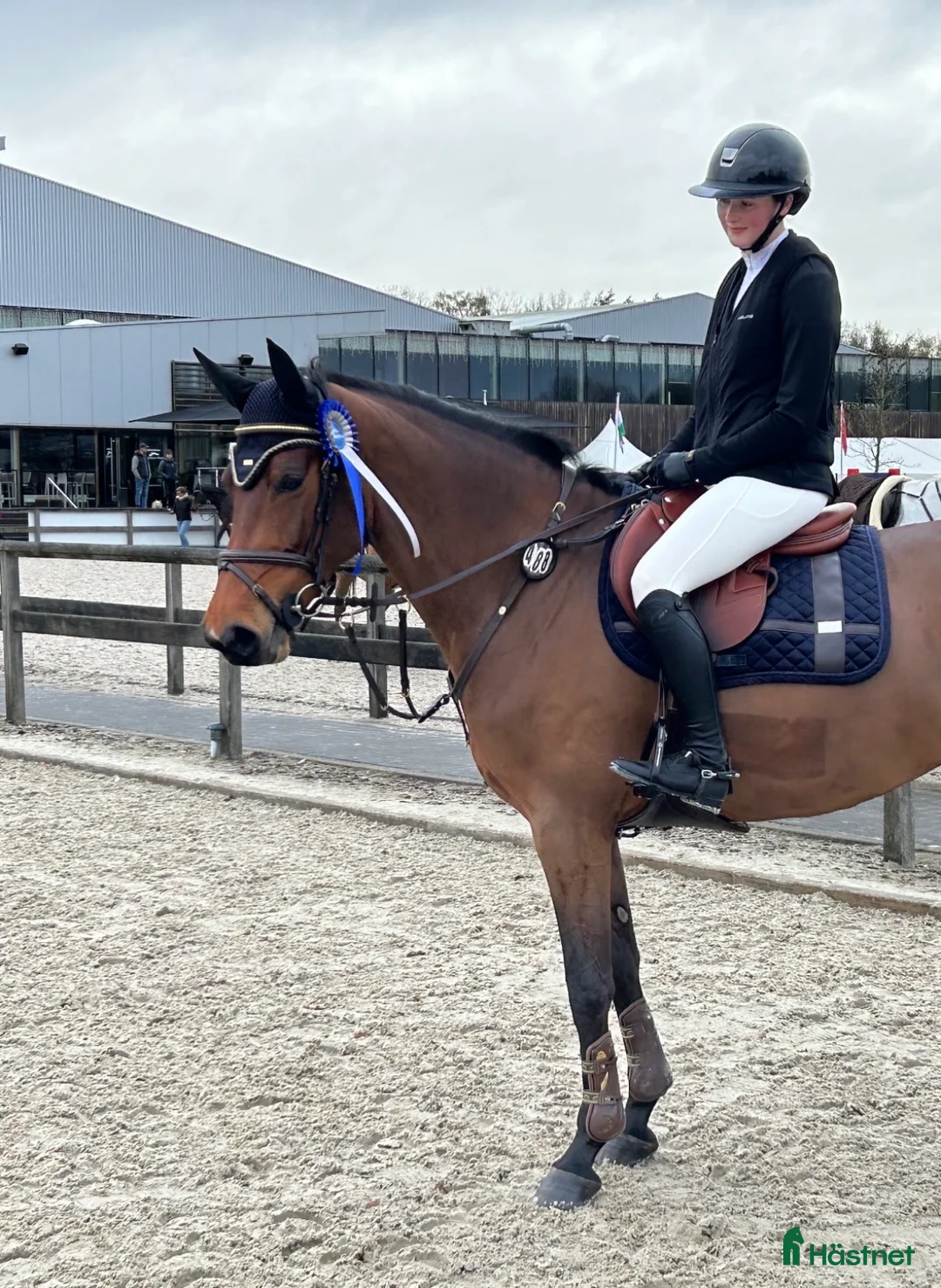 Hoppning hästar till salu: Sto med bra hoppkvalitet  - Annons 1