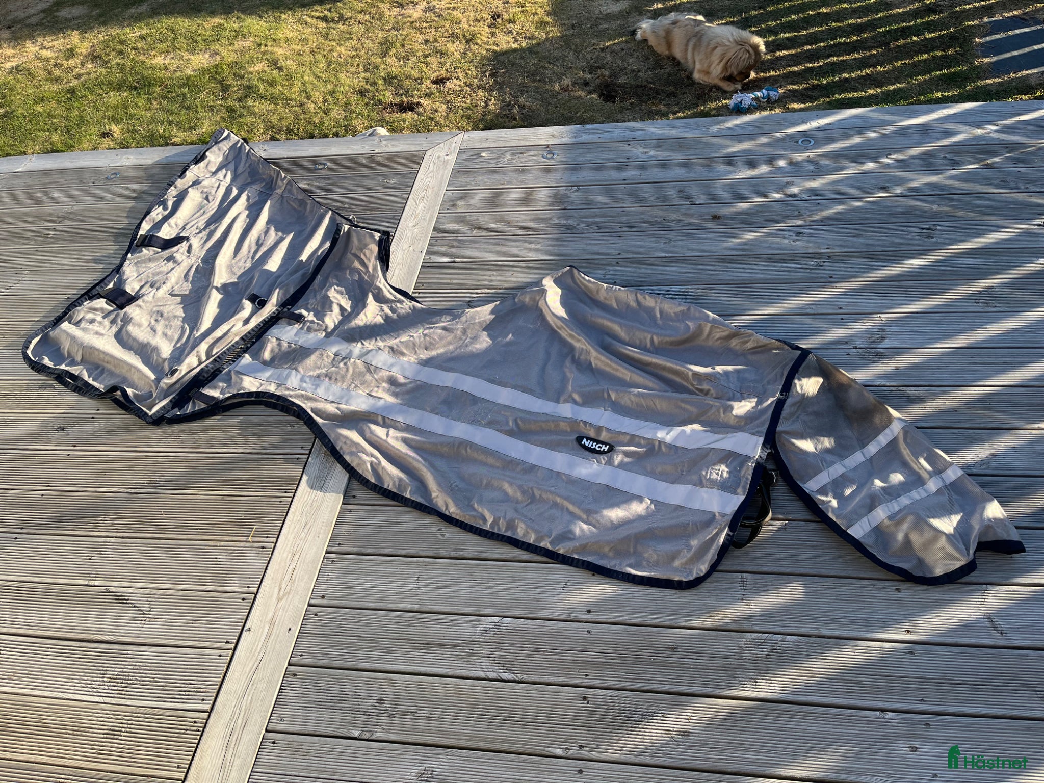 Täcken hästutrustning Ridflugtäcke  - Annons 1