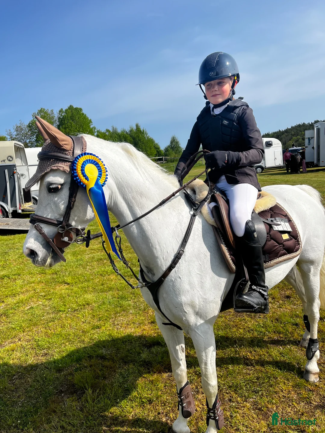 Allround hästar till salu: Allround ponny med kvalitet ovh välriden. i Älvängen - Annons 1