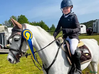 hästar Allround ponny med kvalitet ovh välriden. - Annons 17