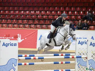 hästar Tävlingshäst med kapacitet för stora klasser! - Annons 15