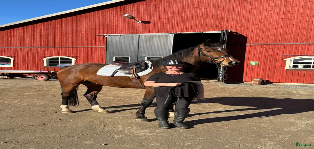 Galleribild {{count}}