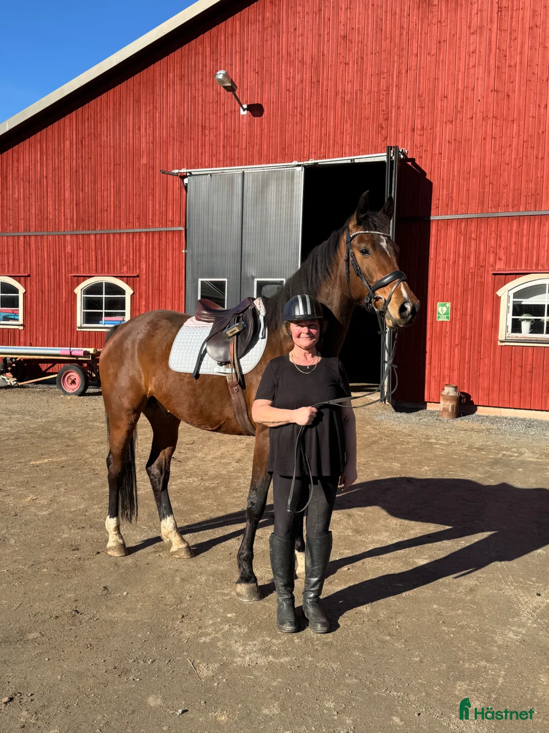 Galleribild {{count}}