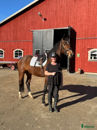 Galleribild {{count}}