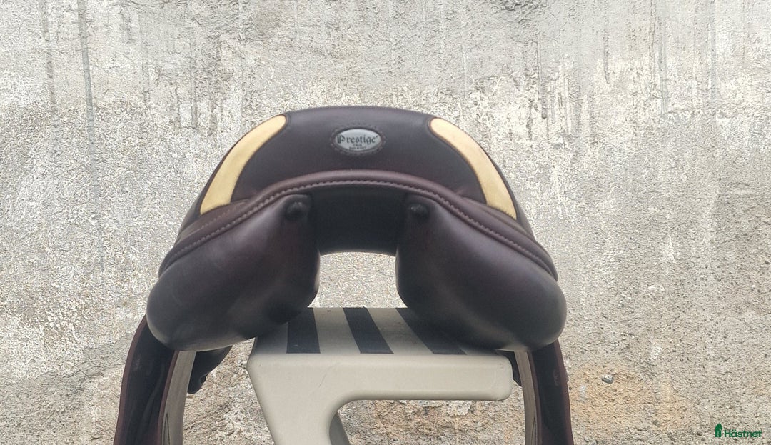 Sadlar hästutrustning till salu: Prestige Paris D i Matfors - Annons 8