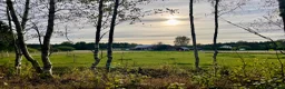  stallplats finnes: Plats i litet stall utanför Jönköping  - Annons 6