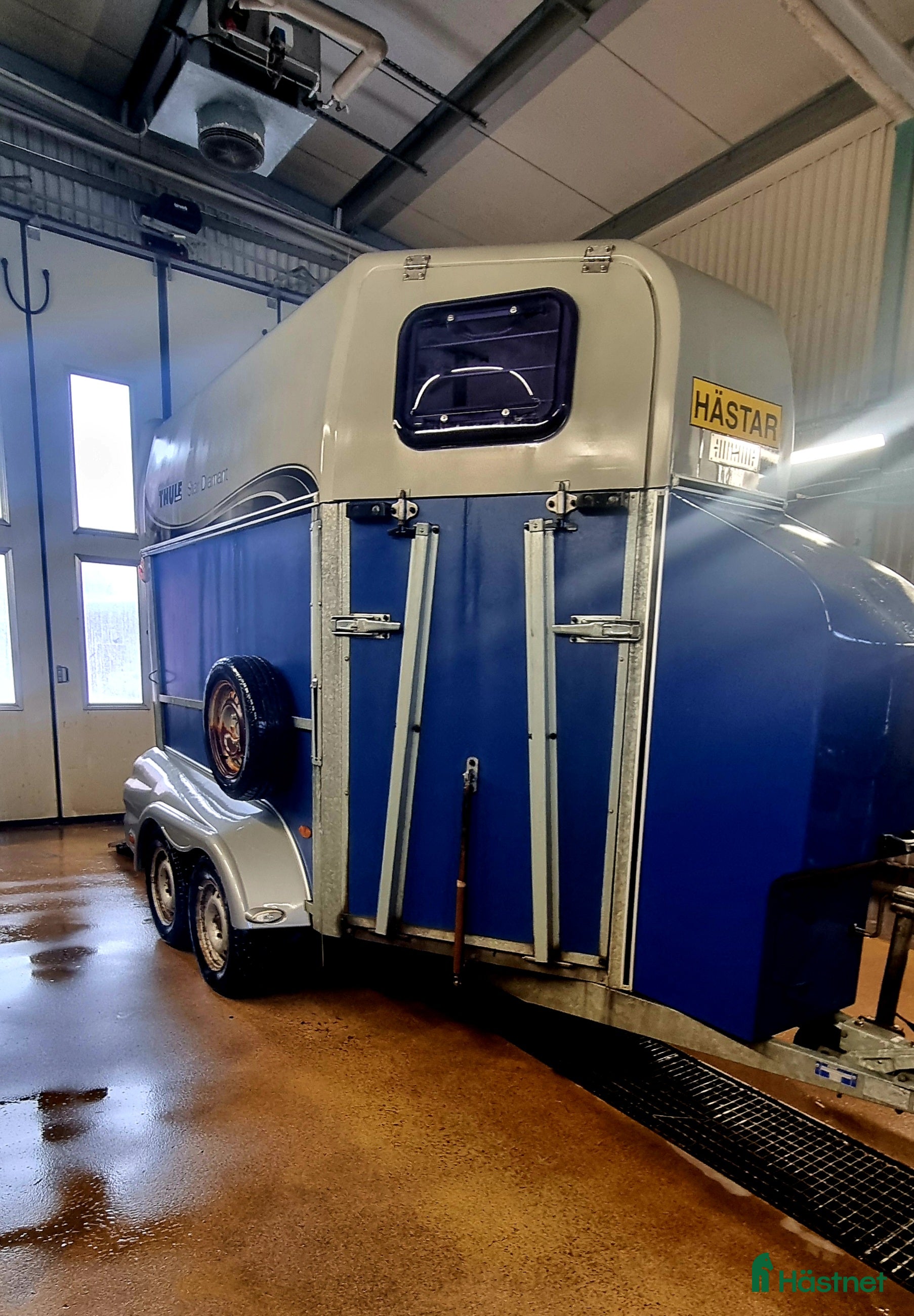 Hästtransporter  fordon & transport till salu: Star Trailer Diamant i Borlänge - Annons 17