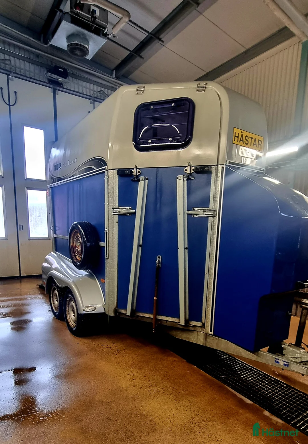 Hästtransporter  fordon & transport till salu: Star Trailer Diamant i Borlänge - Annons 1