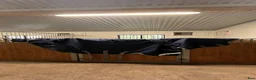 Täcken hästutrustning till salu: Fint vintertäcke för kallare dagar  - Annons 1