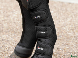 Benskydd hästutrustning till salu: Superfina transportskydd i Piteå - Annons 9