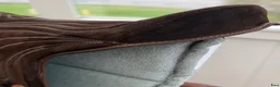 Sadlar hästutrustning till salu: Omega Innovation Dressage ridpad/barbackapad  - Annons 5