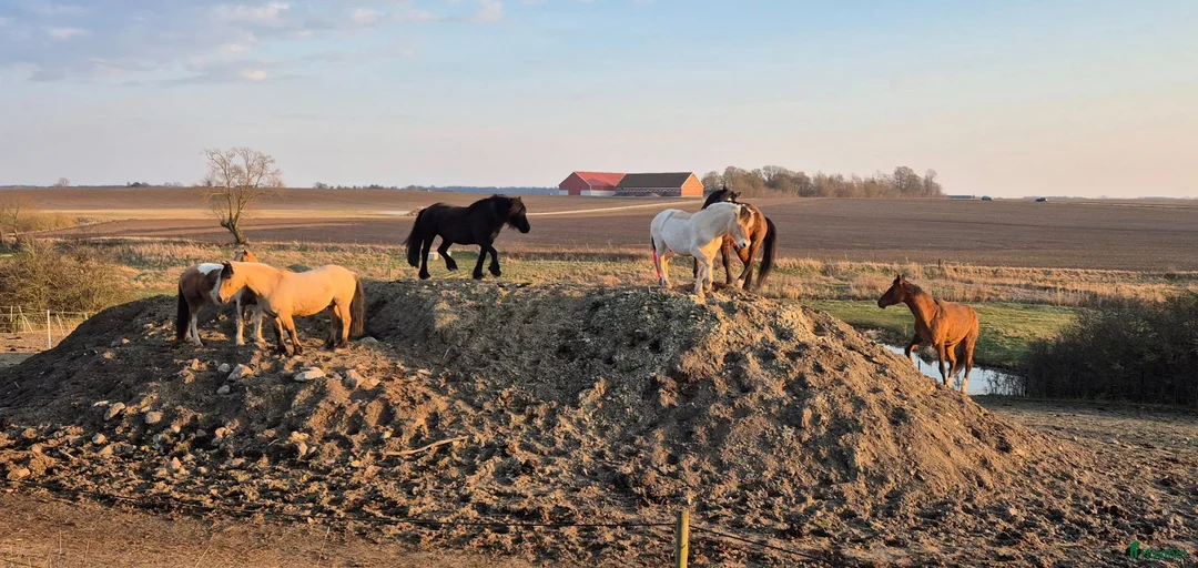 Galleribild {{count}}