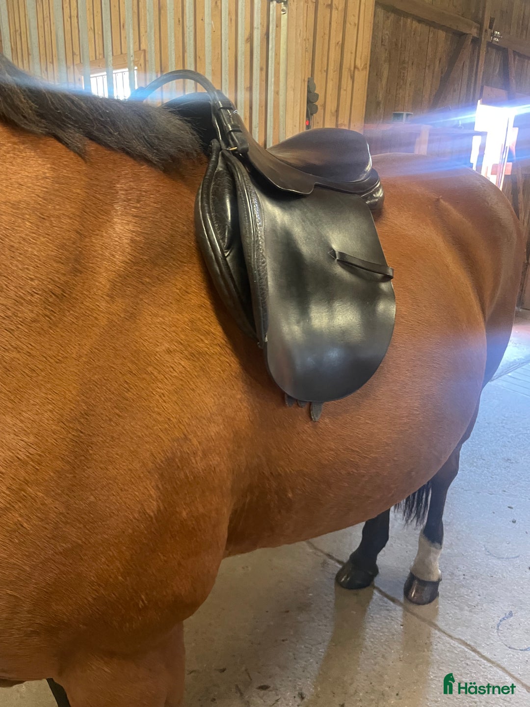 Sadlar hästutrustning till salu: Kvalitetssadel Morris and Noland i Göteborg - Annons 3