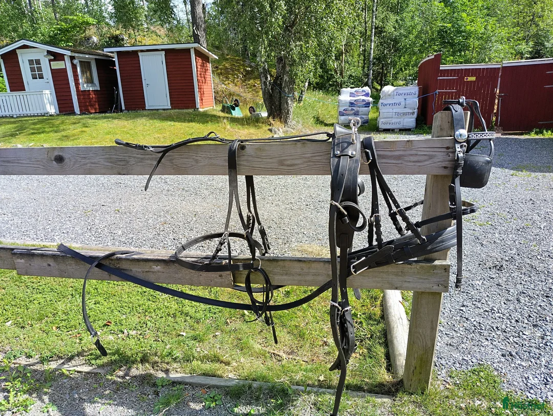 Körselar körning till salu: Körsele - Annons 2