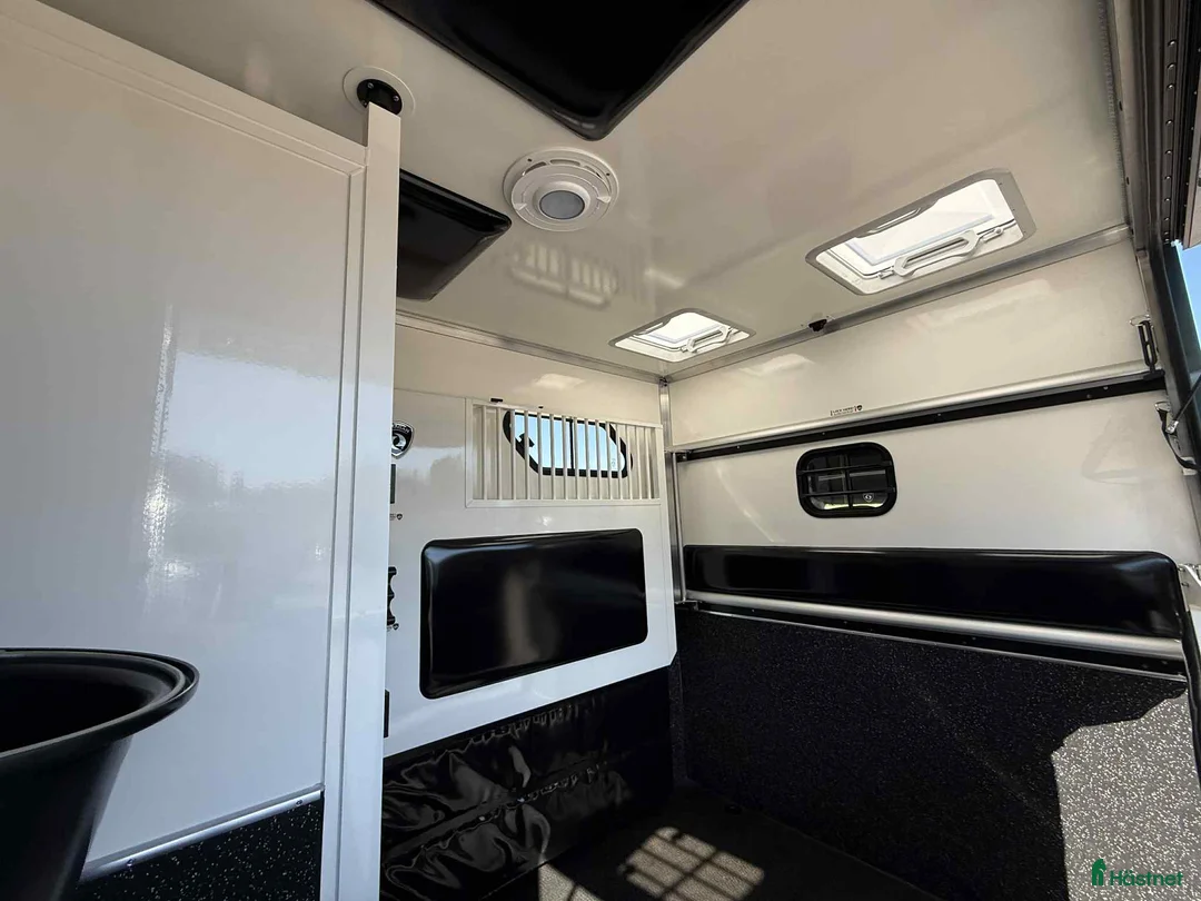 Hästlastbilar  fordon & transport till salu: PARAGAN EXCELSION 5XL STUTERI i Köping - Annons 11