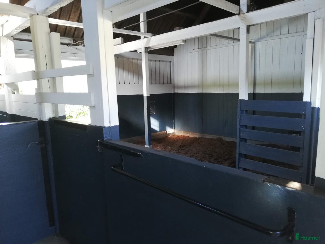  stallplats finnes: Ledig lösdrift I Hisings kärra (Gerrebacka) i Hisings Kärra - Annons 4