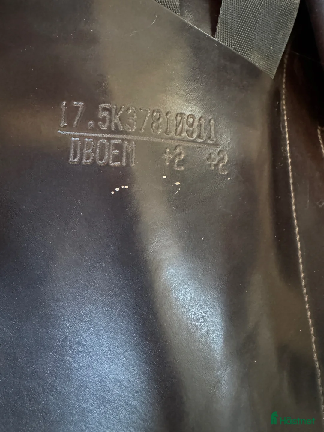 Sadlar hästutrustning till salu: Equipe Bocelli - Annons 2