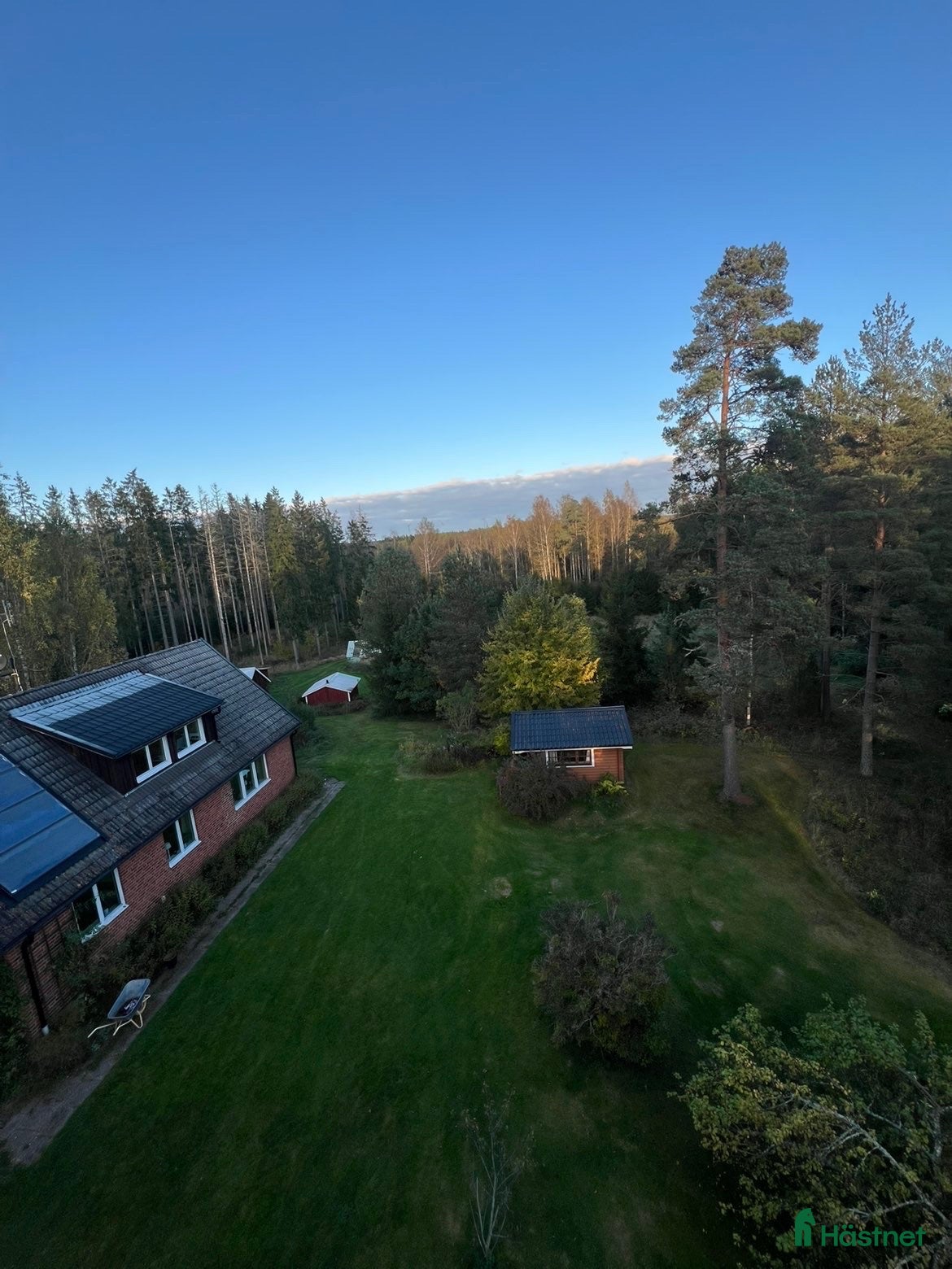  hästar Snälla hästar sökes - Annons 3
