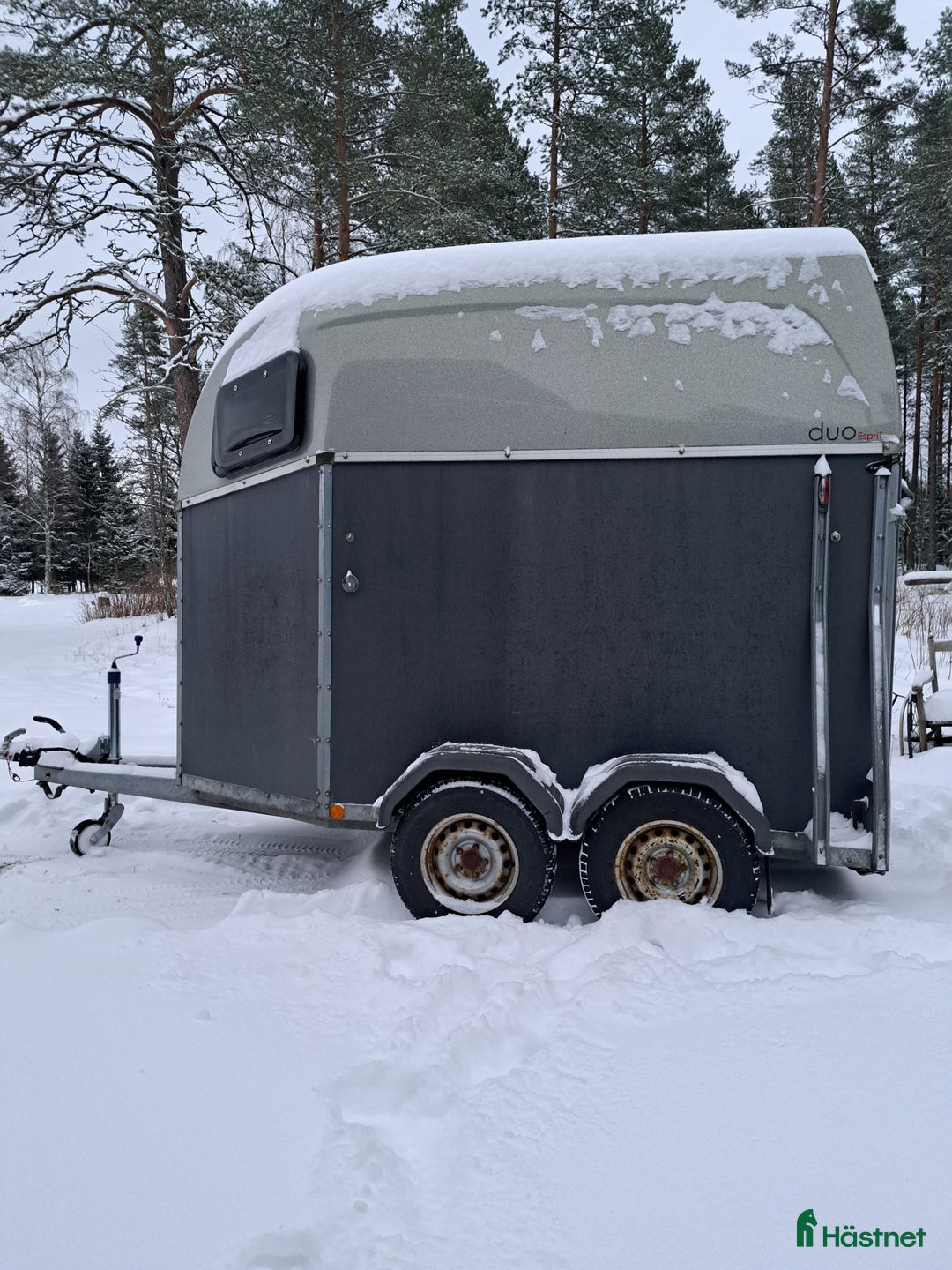 Hästtransporter  fordon & transport till salu: Böckmann  i Nordmaling - Annons 6
